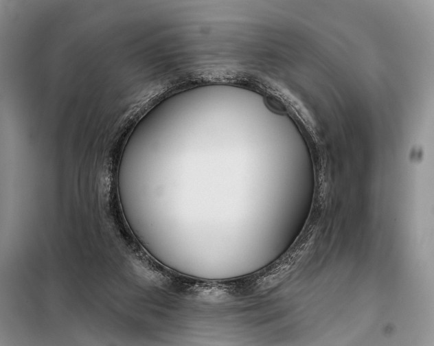 X0000098050113200804181334