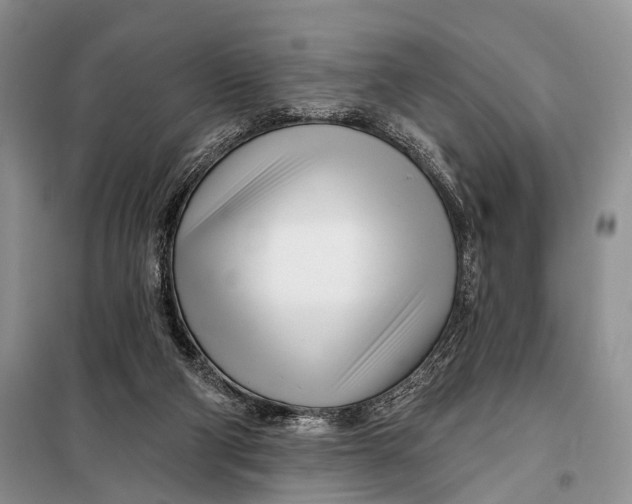 X0000098050114200804181334