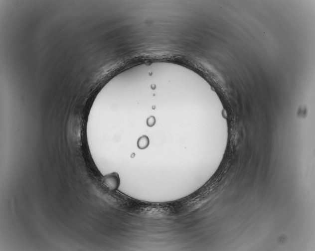 X0000098050115200804181334