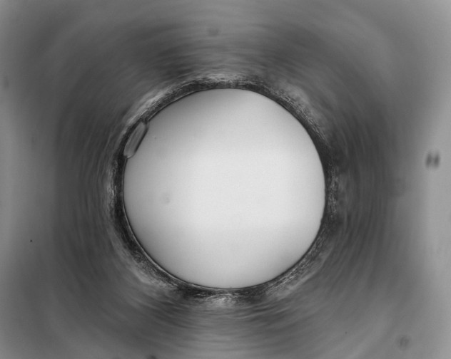 X0000098050116200804181334