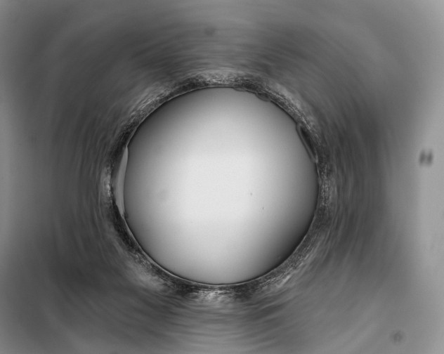 X0000098050117200804181334