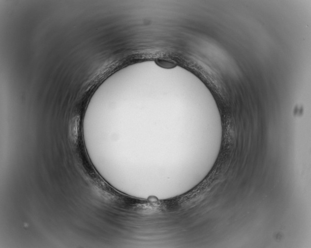 X0000098050118200804181334