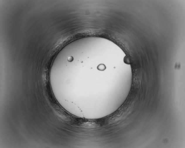 X0000098050119200804181334