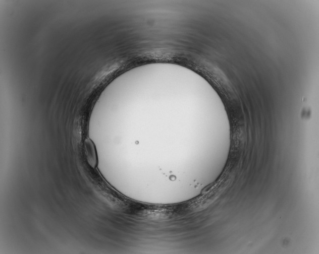 X0000098050120200804181334