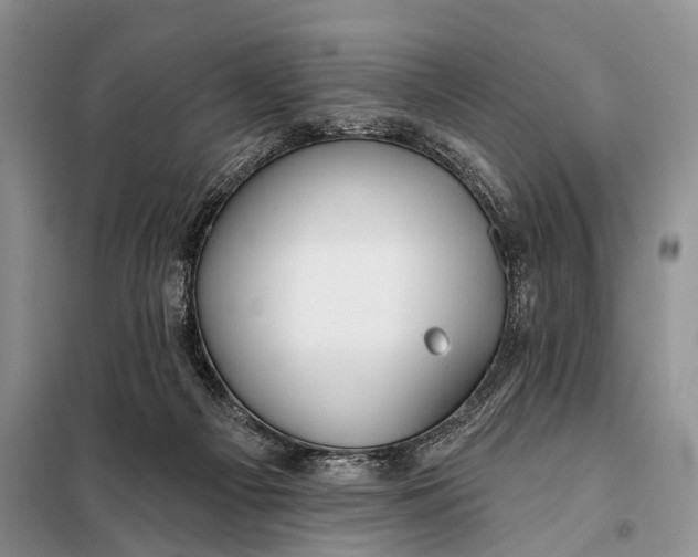 X0000098050121200804181334