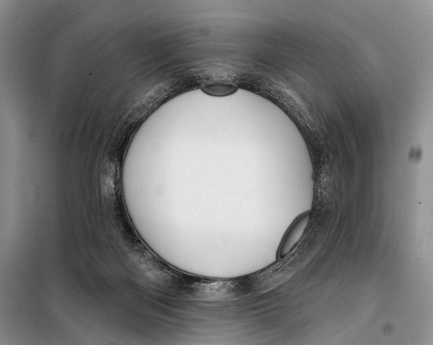 X0000098050122200804181334