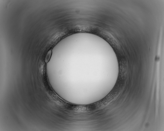 X0000098050123200804181334