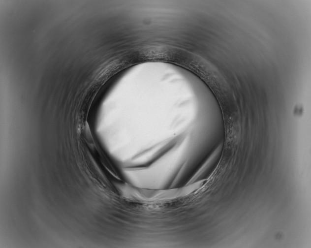 X0000098050124200804181334