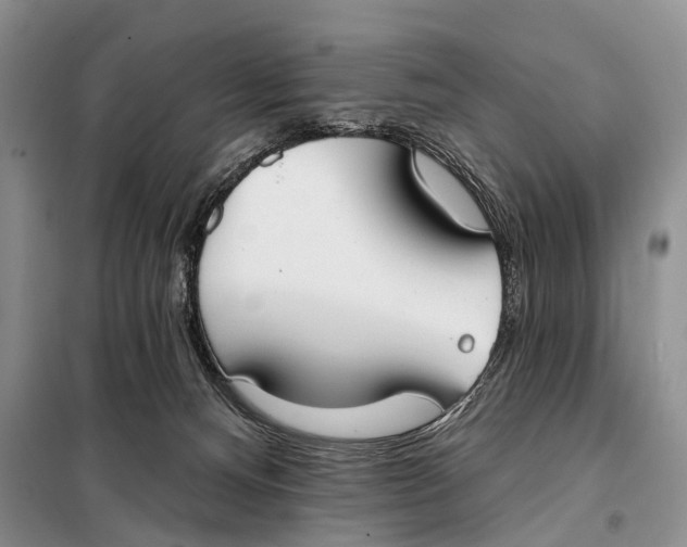 X0000098050128200804181333