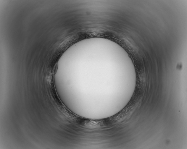 X0000098050129200804181333