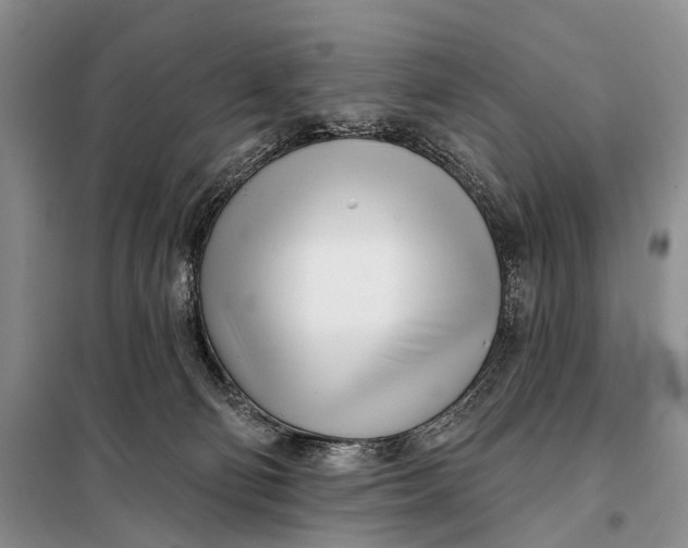 X0000098050130200804181333