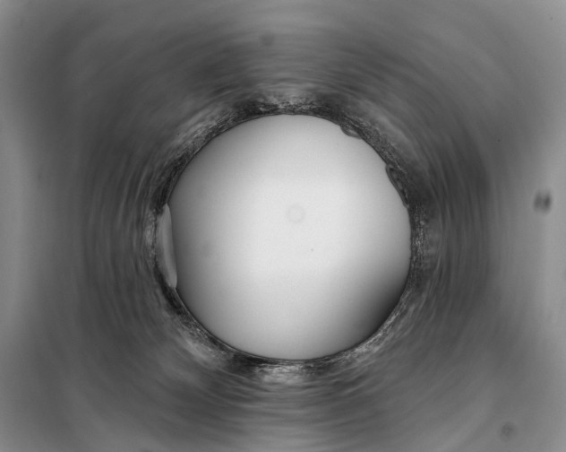 X0000098050132200804181333