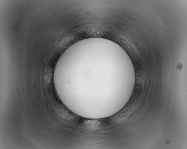 X0000098050133200804181333