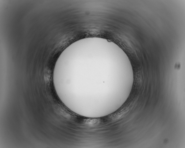 X0000098050135200804181333