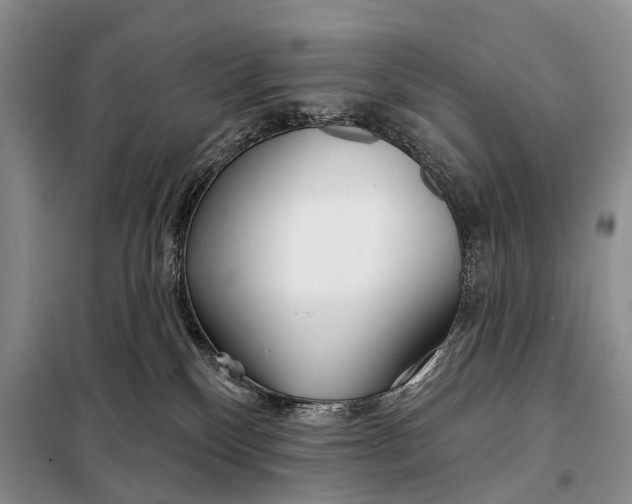 X0000098050136200804181333