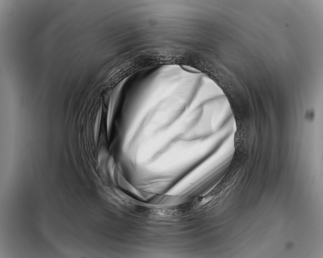 X0000098050137200804181333