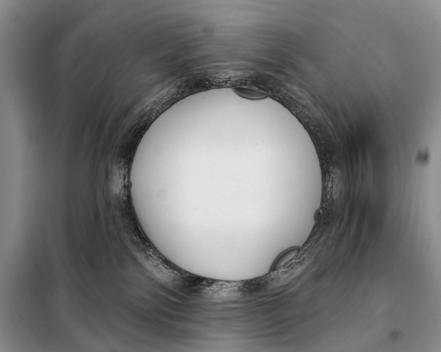 X0000098050138200804181333