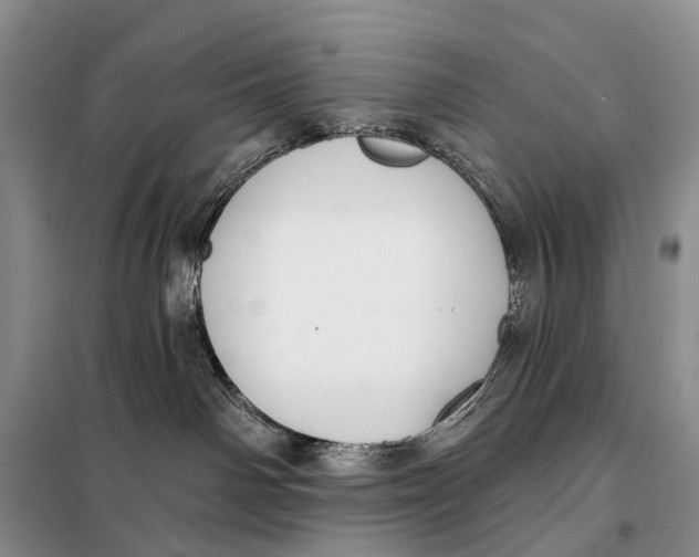 X0000098050142200804181333