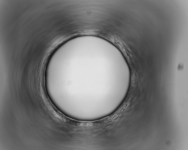 X0000098050145200804181333