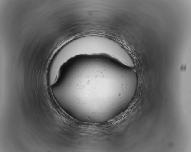 X0000098050146200804181333