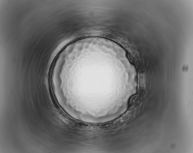 X0000098050147200804181333