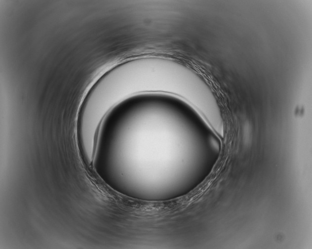 X0000098050148200804181333