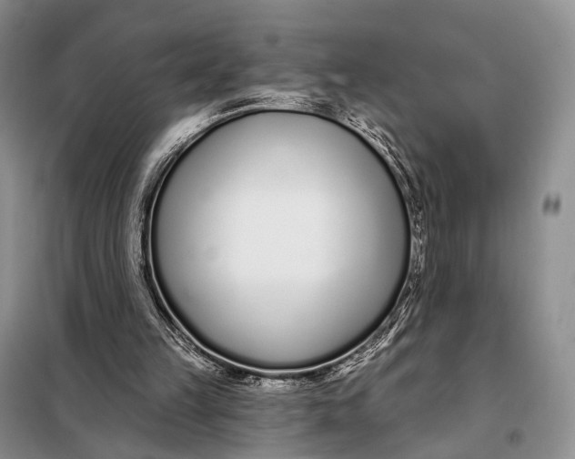 X0000098050149200804181333