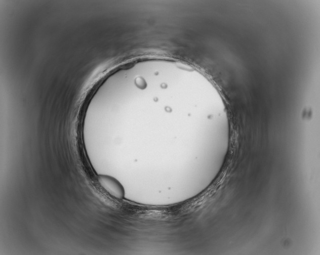 X0000098050151200804181333