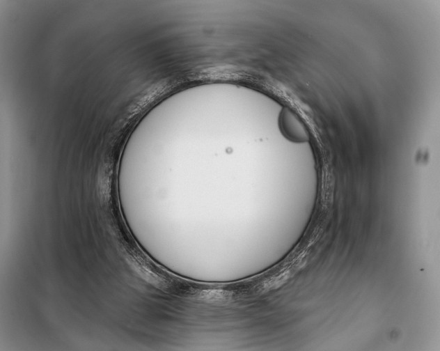 X0000098050153200804181333