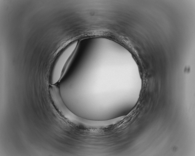 X0000098050154200804181333