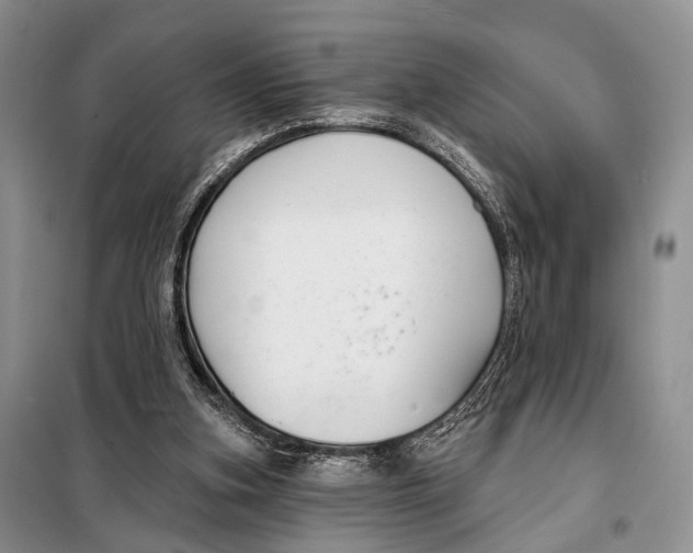 X0000098050155200804181333