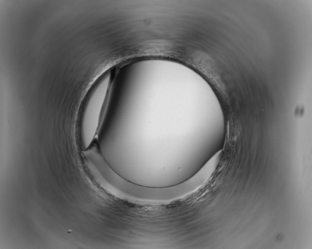 X0000098050156200804181333