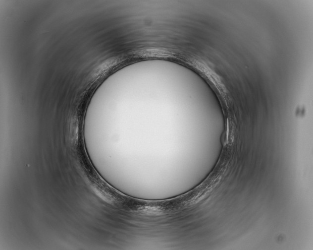 X0000098050157200804181333