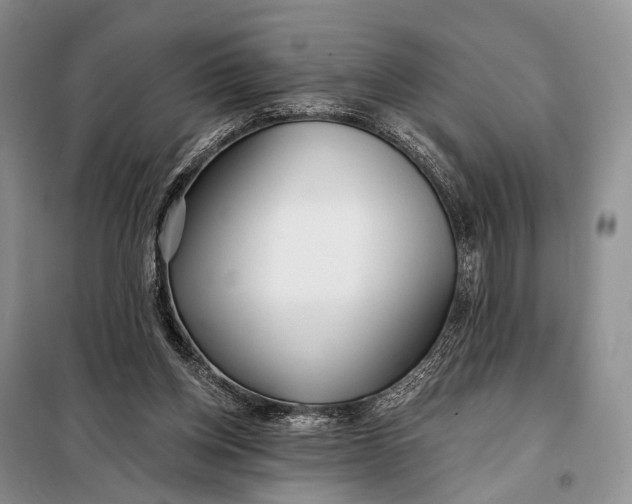 X0000098050158200804181333