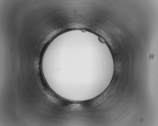 X0000098050159200804181333