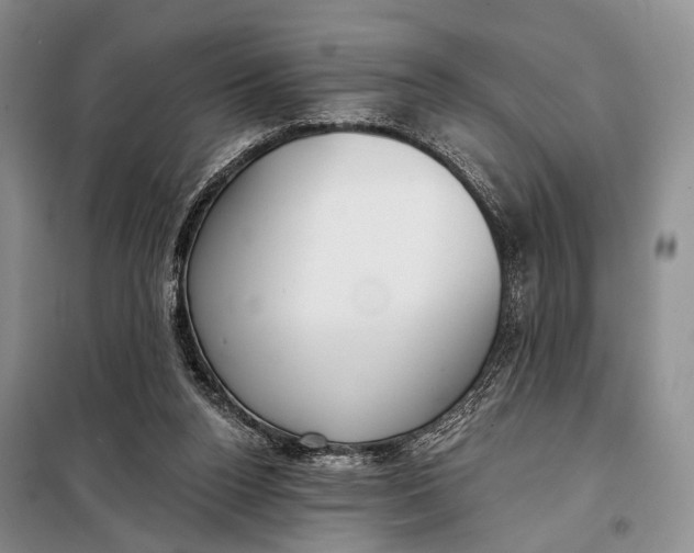 X0000098050160200804181333