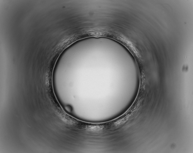 X0000098050161200804181333