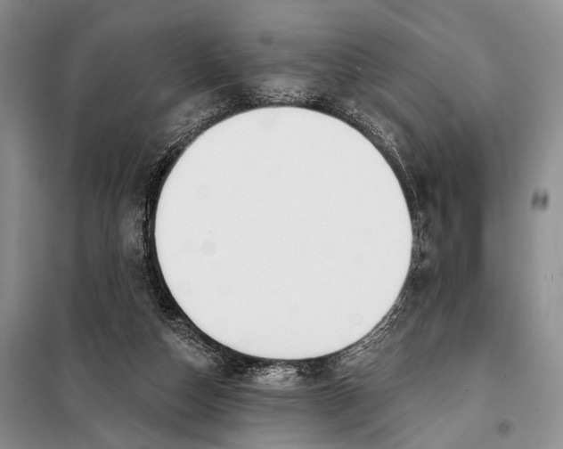 X0000098050162200804181333