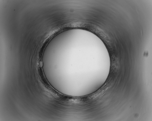 X0000098050164200804181333