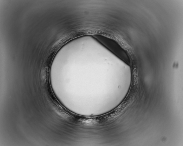 X0000098050165200804181333