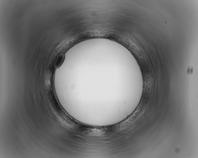 X0000098050166200804181333