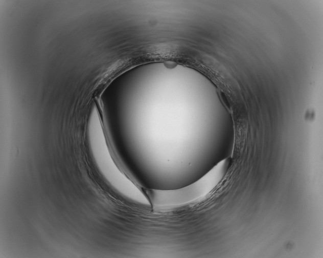 X0000098050168200804181333