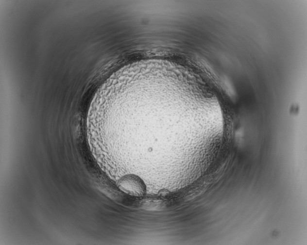 X0000098050169200804181333