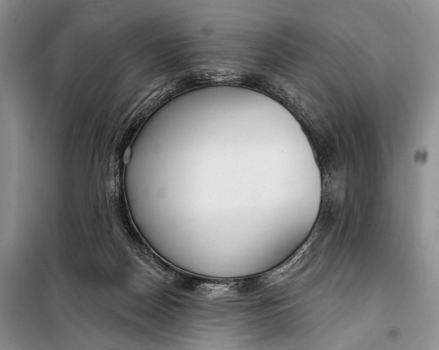 X0000098050170200804181333