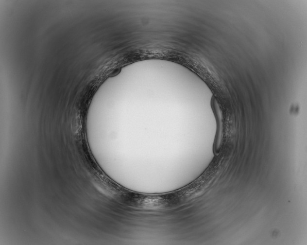 X0000098050173200804181333