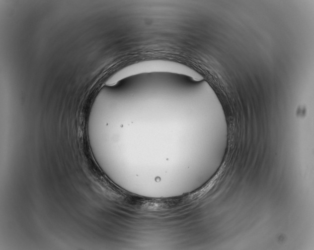 X0000098050174200804181333