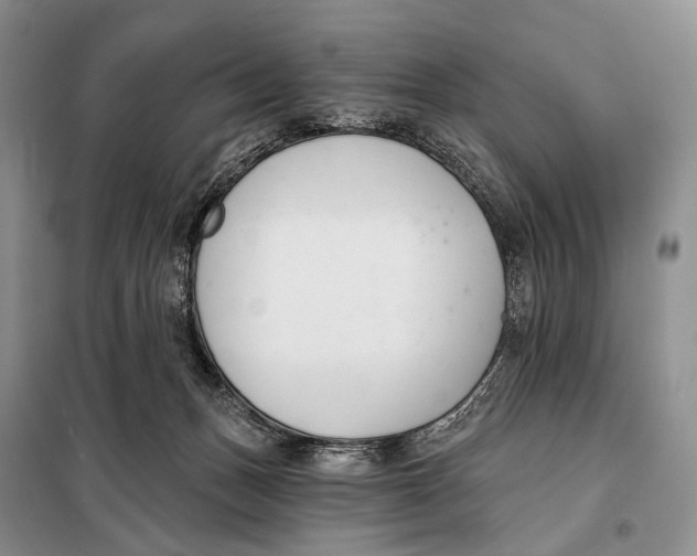 X0000098050175200804181333