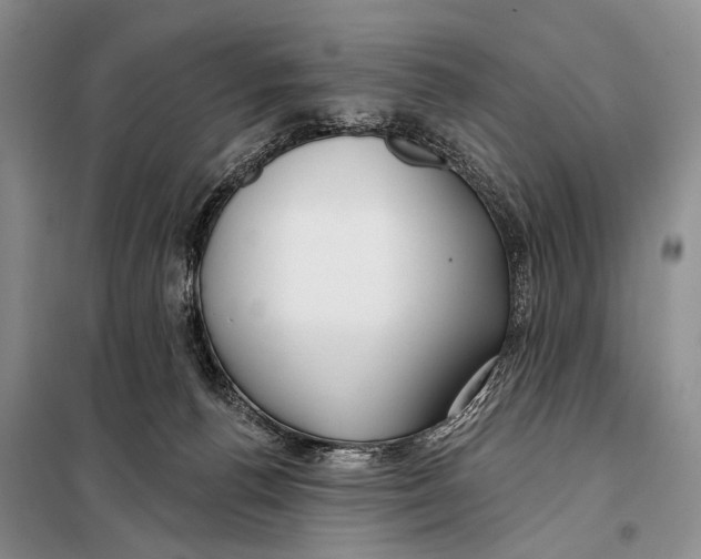 X0000098050176200804181333