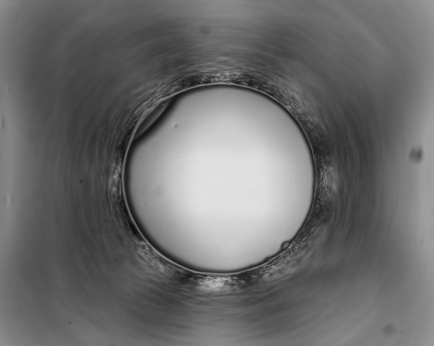 X0000098050177200804181333