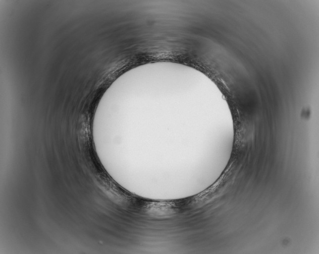 X0000098050179200804181333